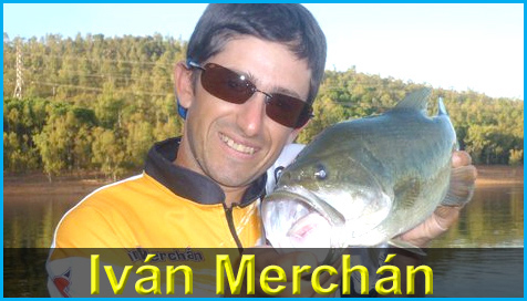 ivan_merchan_pagina_inicio_proteam2