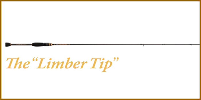 SALTY SENSATION The Limber Tip