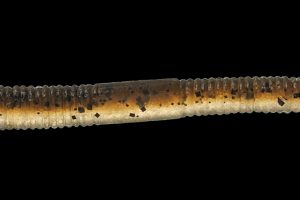 Green Pumpkin Cinnamon (2 Tonos)