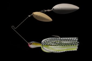 Tidal Shad