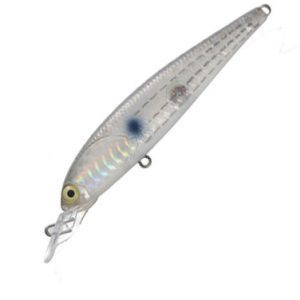 PB011-Clear Horo Ina