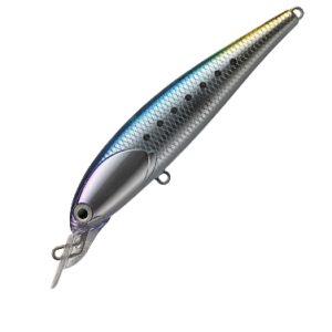 PB014-Pici Pici Iwashi