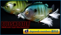 dwm_bullshooter_new