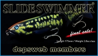 dwm_slideswimmer175_link_noticia