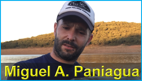 miguel-angel-paniagua-pagina-inicio-proteam