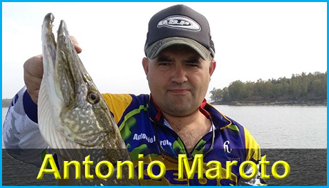 antonio_maroto_pagina_inicio_proteam