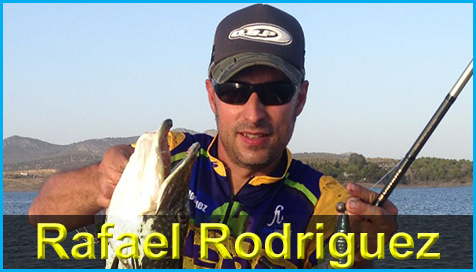 rafael_rodriguez_pagina_inicio_proteam