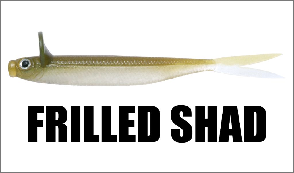 Frilled Shad