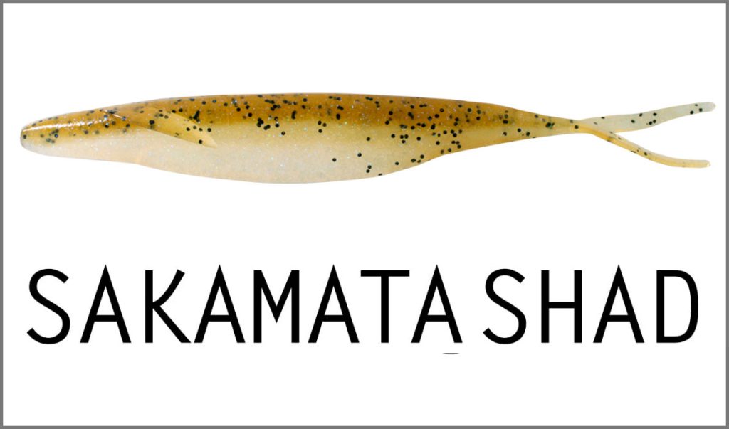 Sakamata Shad