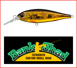 Bank Shad