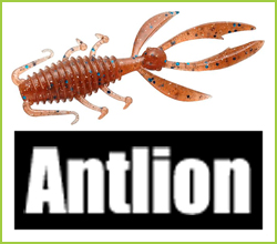 Antlion
