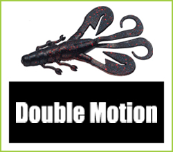 Double Motion