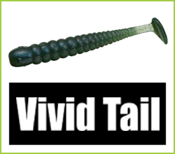 Vivid Tail