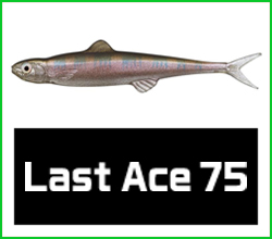 Last Ace 75