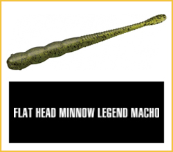 Flat Head Minnow Legend Macho