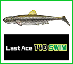 Last Ace 140 Swim