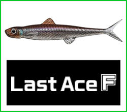 Last Ace F (Floating)