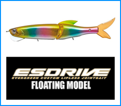Es Drive Floating Model