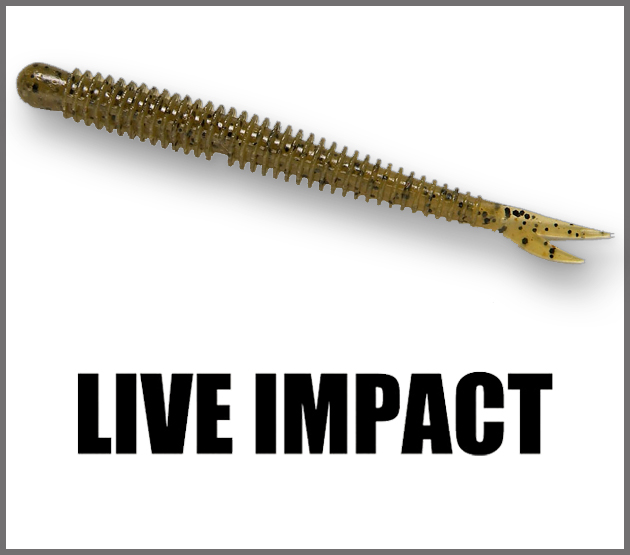 Live Impact