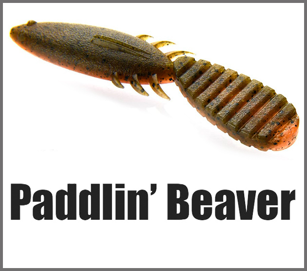 Paddlin' Beaver