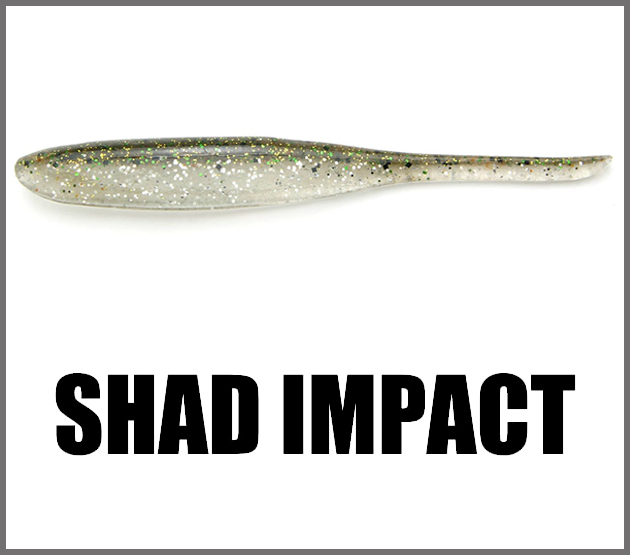 Shad Impact